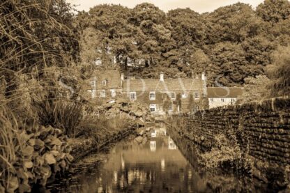 Reflections of Sepia - S L Davis Photography