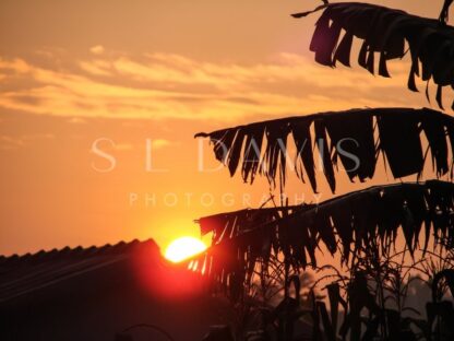 Sunrise of the Congo - S L Davis Photography