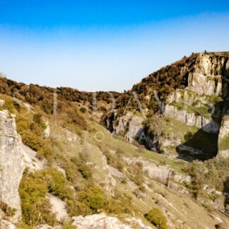 The Great Cheese Valley - S L Davis Photography