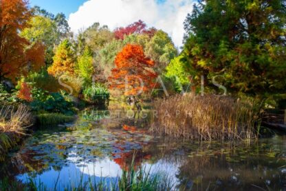 Autumn’s Palette - S L Davis Photography